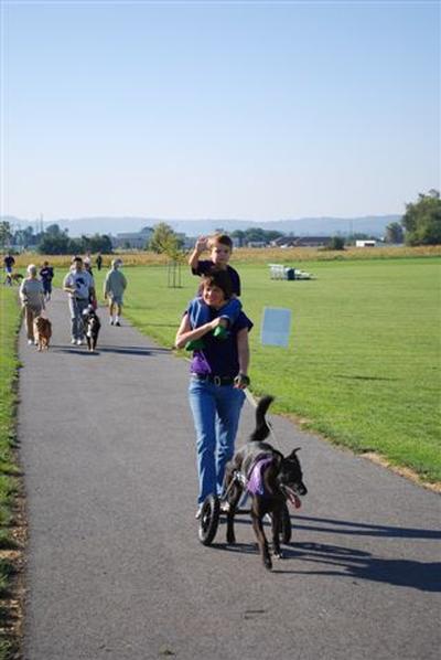 Canines For a Cure - Canines For A Cure is an organization that raises awareness for amputee companion animals and how they can lead great quality lives